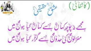 Mujy Na Poch Kahan Sy Kahan | New Qawali 2024 | Maqam-E-Ishq Haqiqi | Sufiana Kalam | Roshni E Qalb