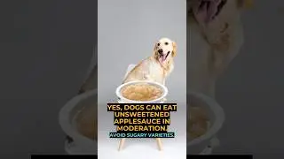 Can dogs Eat Applesauce? #shorts #applesauce #CanDogsEat