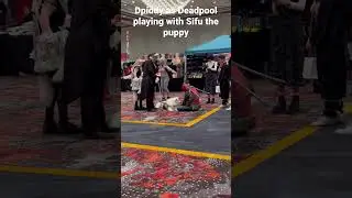 Dpiddy as deadpool playing with puppy #cosplay #subscribe #thankyou