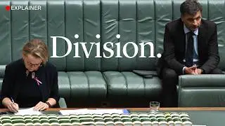 Behind the chaos in the Coalition
