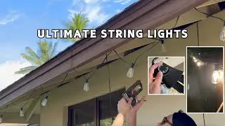 Completely Transforms Your Outdoor Space (Gorgeous String Lights)