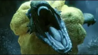 Napalaban sa Royal Ludroth Monster Hunter Portable 3rd Back to Zero
