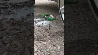 Tube crashes | #classichonda |🚗🚘🌌🌠🌞🔥💊🧪 How to | Classic Honda