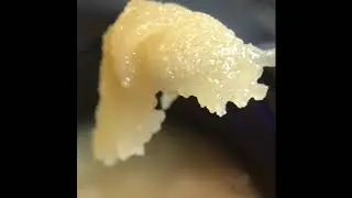 Hash House 6* Puffco Pro
