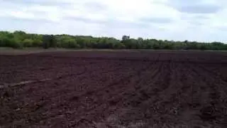 Tiff 419 Bermuda Grass Farming