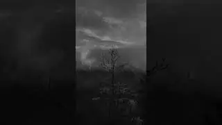 Lovely/Billie Eilish ft.Khalid (SLOWED) #aesthatic
