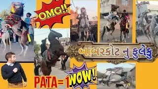 બાબરકોટ નું ફુલેકુ | આજે તો બોવ ઘોડા કુદાવા | આવુ ફુલેકુ કયા નય જોયુ હોય 😲😲 |