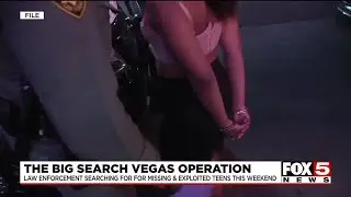 The Big Search Vegas Operation
