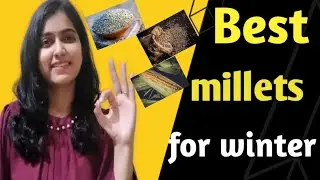 Best Millets You Should Eat In winter|Benefits, nutrition