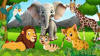 Cute Animal Sounds: Bird, Elephant, Lion, Meerkat, Giraffe, Pelican - Animal Moments