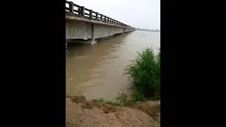 chambal River... high alert pani hi pani