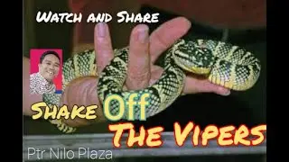 SHAKE OFF THE VIPERS / REVIVAL SERVICE / PTR NILO PLAZA