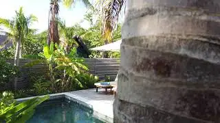 Six Senses Sequence (Using automate to sequence, in time with music)
