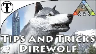 Fast Direwolf Taming Guide :: Ark : Survival Evolved Tips and Tricks