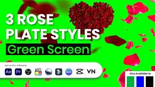 Rose Plate Green Screen (3 Styles) | Aesthetic Flower Overlay