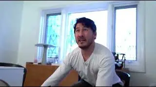 Do the dogs want to eat a bug?