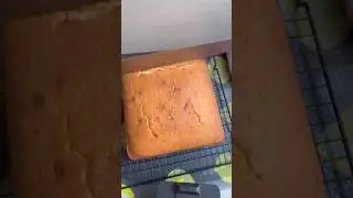 Lamington cakes #shorts #shortsvideo #viral