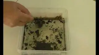 oil removal from the surface of the water