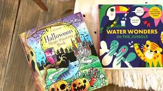 Water Wonders vs Magic Painting - Usborne Books & More