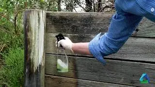 How to remove mould from timber