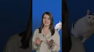 Как эффективно управлять временем на удаленной работе?