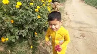 Imiv taktipur Yasmin