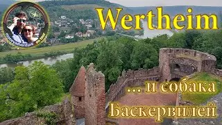 Вертхайм 6 - При чем здесь собака Баскервилей?