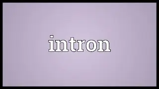 Intron Meaning