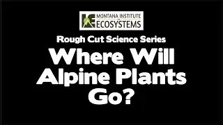 Where Will Alpine Plants Go?