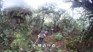 SKL - Hiking to Pine Tree Trail, Fraser's Hill, Pahang, Malaysia. (Video-69)