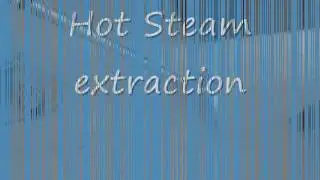 CARPET CLEANING COUPON CHICAGO