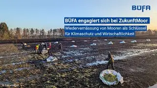 Wiedervern&auml;ssung von Mooren - B&Uuml;FA engagiert sich bei dem Startup ZukunftMoor