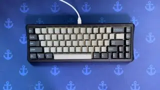 dolphin linger 돌린거🐬홀리판다 풀윤활 타건