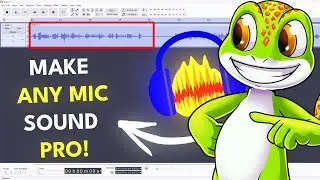 How to Make ANY Mic Sound PROFESSIONAL - Best Audacity Settings For Voice Over