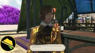 Final Fantasy XIV Online, Some Fantastic Evening, Don't mine the Steppe