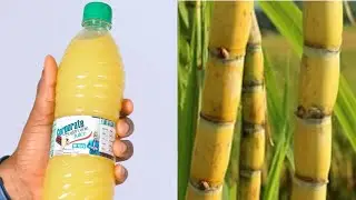 HOW TO MAKE SUGARCANE JUICE FOR SALE | PRESERVATION | PACKAGING