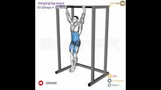 Abs workout - Hanging leg raises 💪