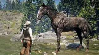 John Marston Tames Huge Thoroughbred Reverse Dapple Grey at Upper Montana River | RDR2