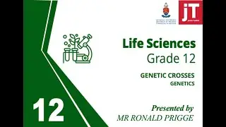 Gr 12 - Life Sciences - Genetics - Genetic Crosses