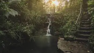 Yeovil Country Park, South Somerset