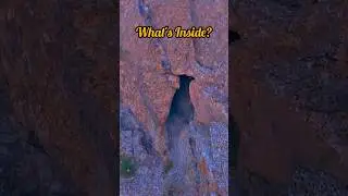 What's Inside This Hidden Cave? | Desert Mystery Revealed #nature #shorts #mountains #explore