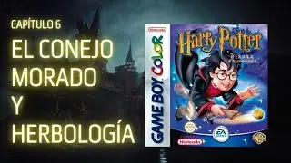 Harry Potter y la Piedra Filosofal Game Boy Color | Cap 6: Clases de Transformaciones y Herbolog&iacute;a