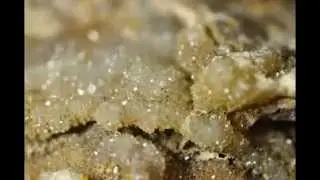 Минерал Урала MINERALURAL Слайды некоторых образцов