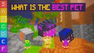 The BEST pet on Hypixel Skyblock! | Tier List