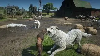 RDR2 - Hunting wolves in the farm with Wolverine