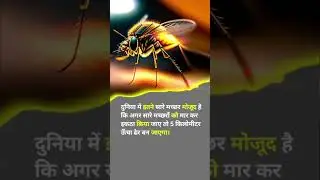 Amazing fact about mosquitos #fact #factandfiction #update #mosquito #latestfactsvideo