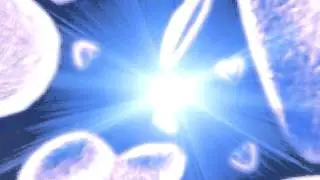 Silvia Capasso Luce