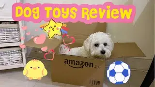 Unboxing | Royal Care Dog Toys Gift Set | Dog Toys | Amazon