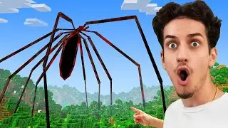 I Added ARACHNOPHOBIA into Minecraft!