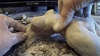 Sculpting The Female figure In Clay